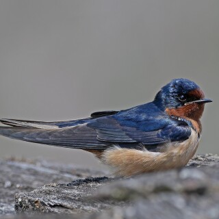 IMG_7608527d42d5a9ed7e1c